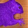 Lavender Squirrel